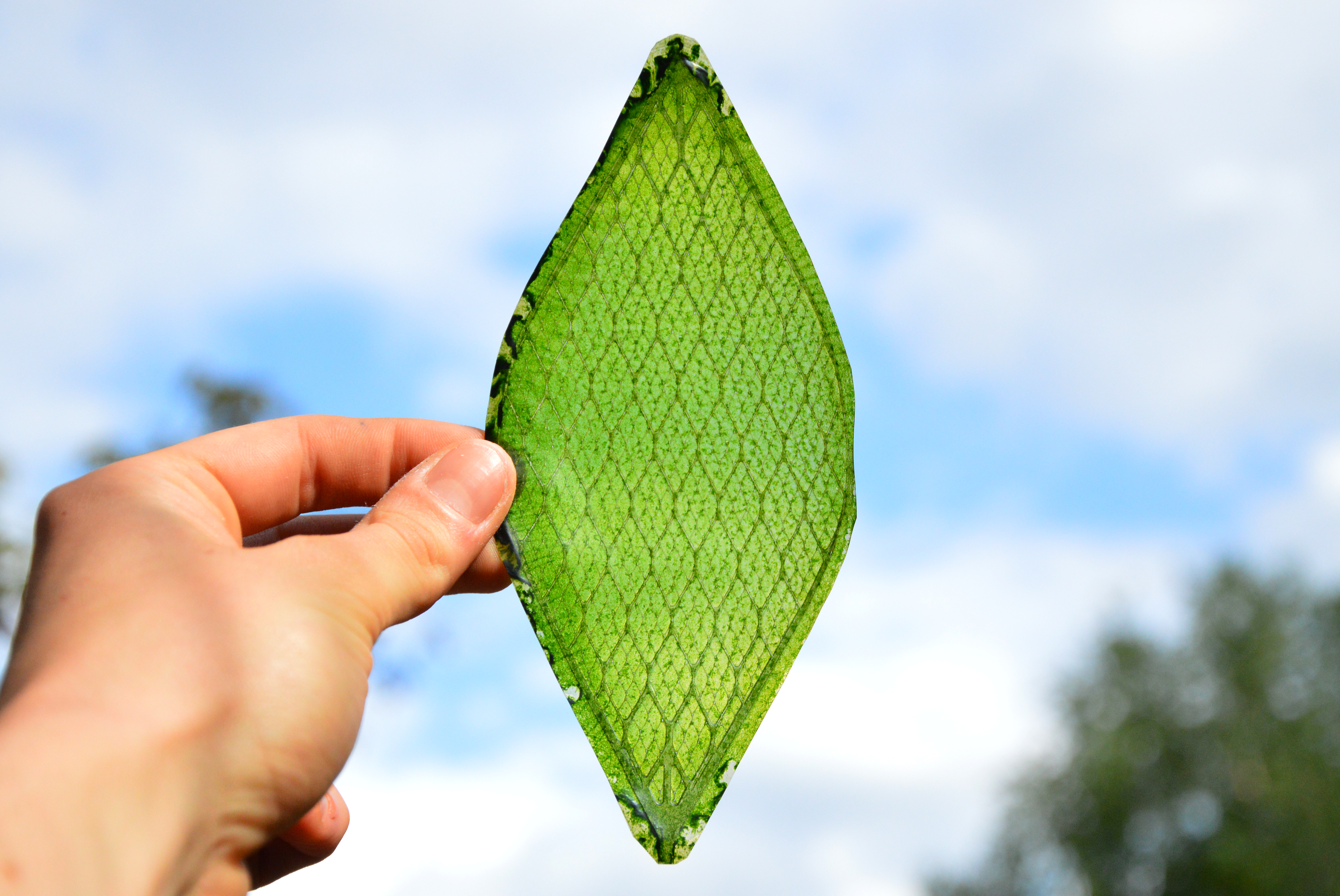 Image1: Silk Leaf, Julian Melchiorri